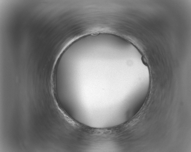 X0000056361056200509161823