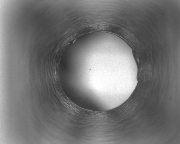 X0000056361058200509161822