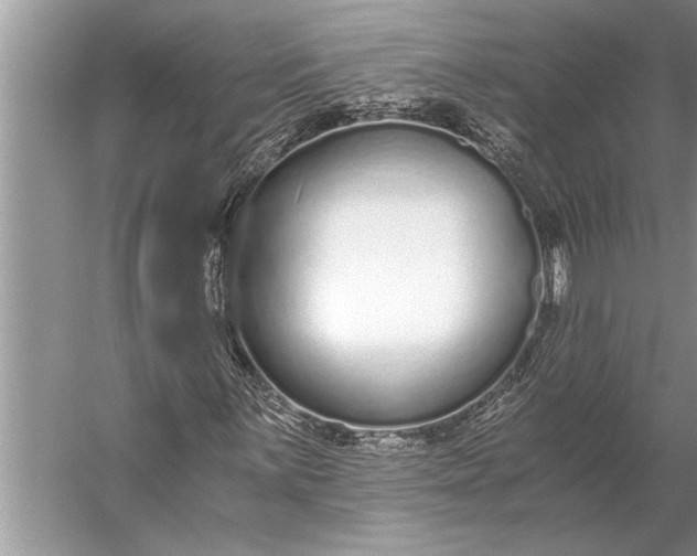 X0000056361059200509161822