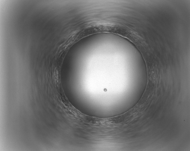 X0000056361061200509161822