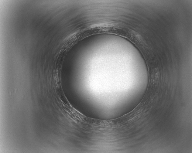 X0000056361062200509161822