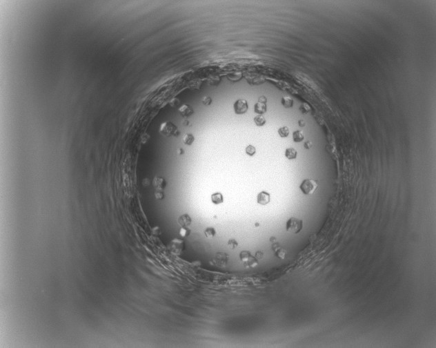 X0000056361063200509161822