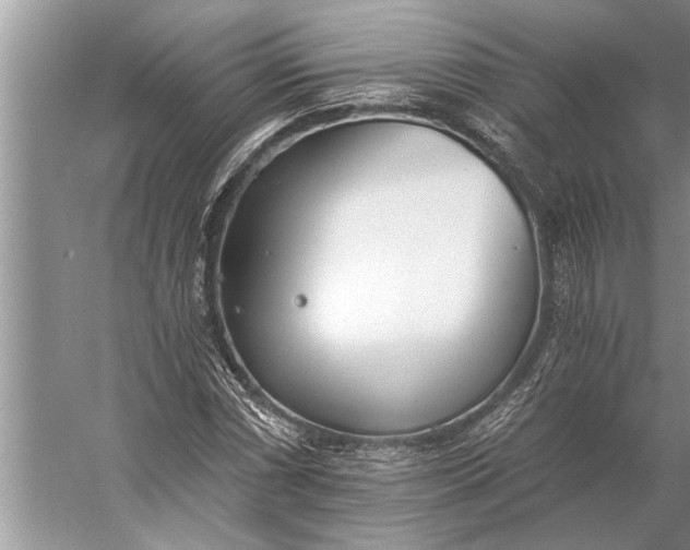 X0000056361066200509161822