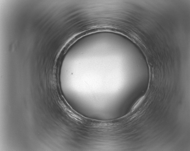 X0000056361068200509161822