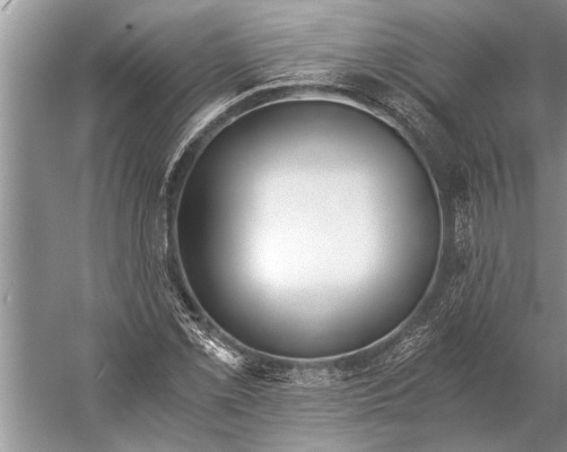 X0000056361069200509161822