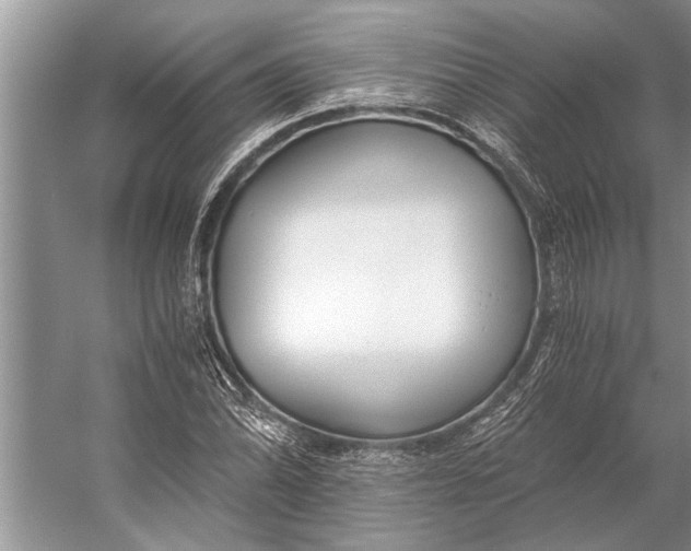 X0000056361070200509161822