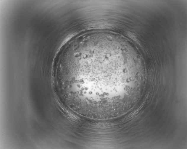 X0000056361071200509161822