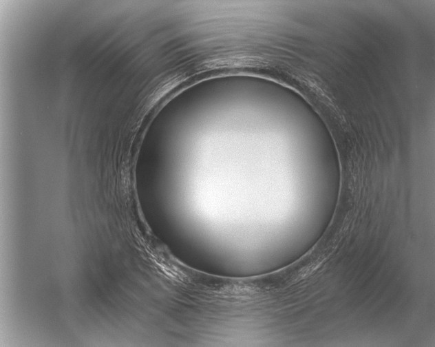 X0000056361073200509161822