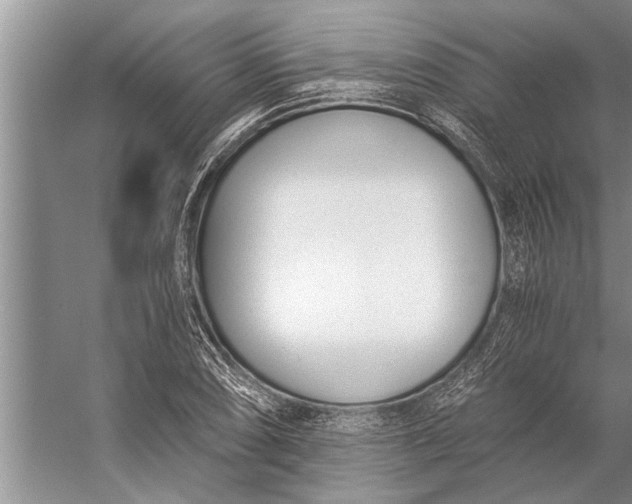 X0000056361074200509161822