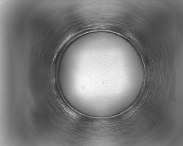 X0000056361075200509161822