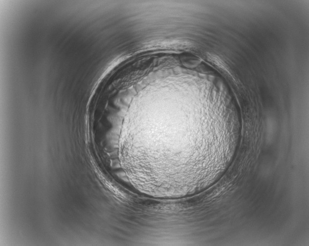 X0000056361079200509161822