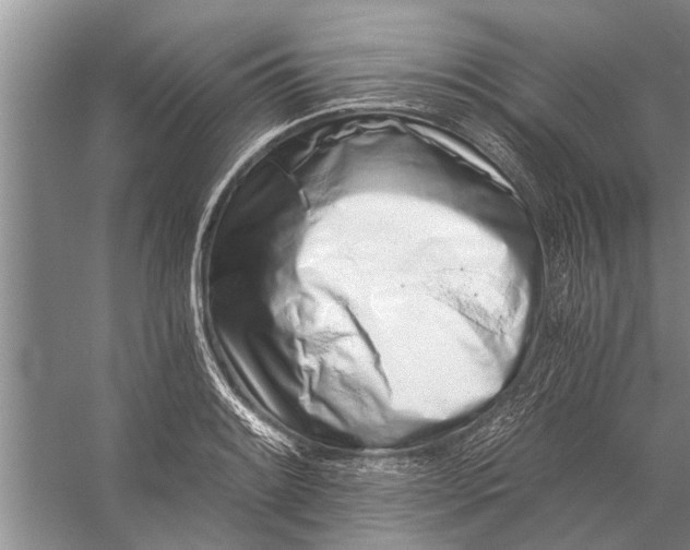 X0000056361084200509161822