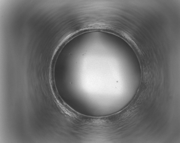 X0000056361085200509161822