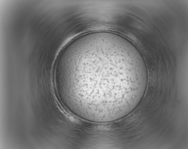 X0000056361086200509161822