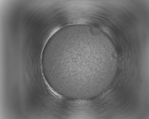 X0000056361087200509161822