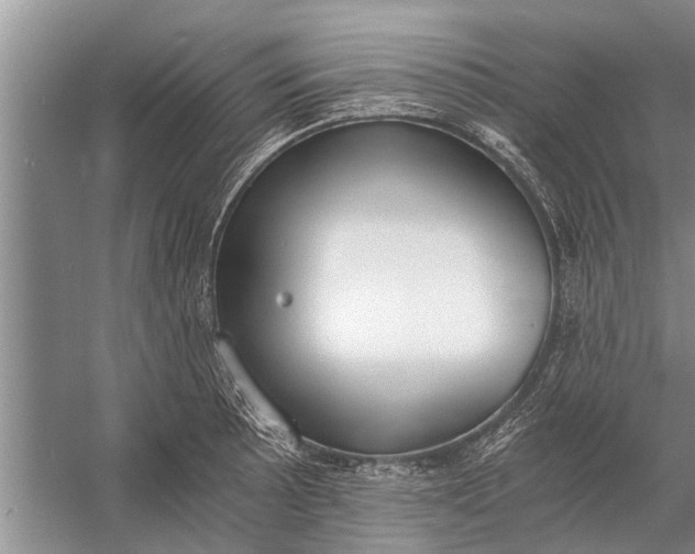 X0000056361089200509161822