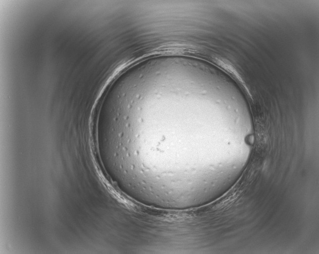 X0000056361091200509161822