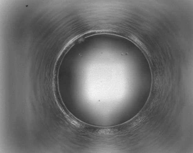 X0000056361093200509161822