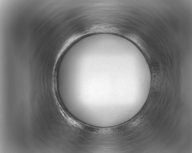 X0000056361094200509161822