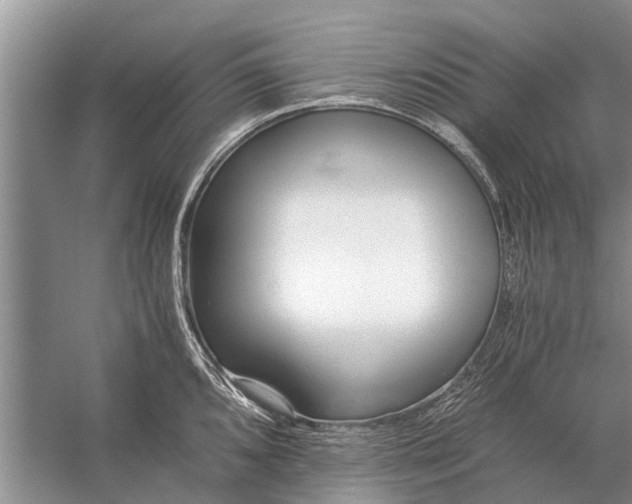 X0000056361096200509161822