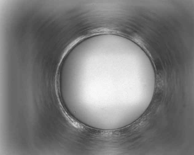 X0000056361098200509161822