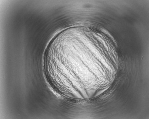 X0000056361099200509161821