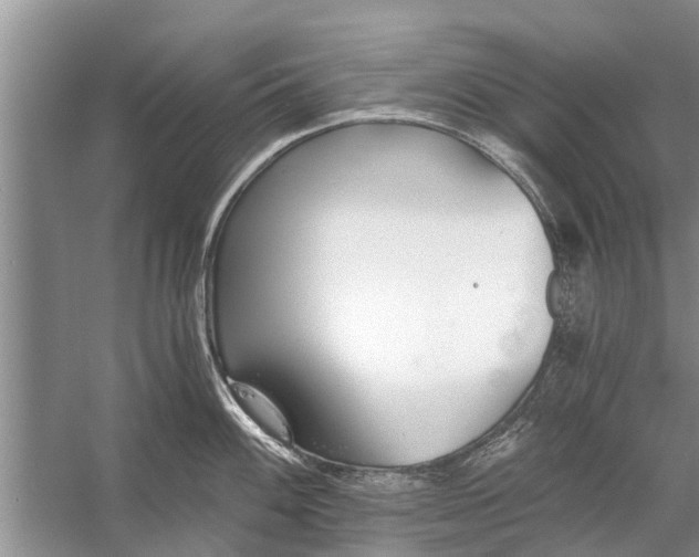 X0000056361100200509161821