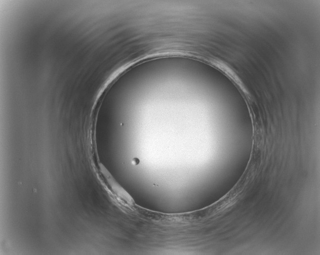 X0000056361101200509161821