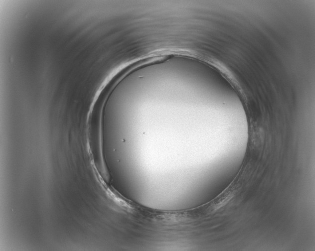 X0000056361102200509161821