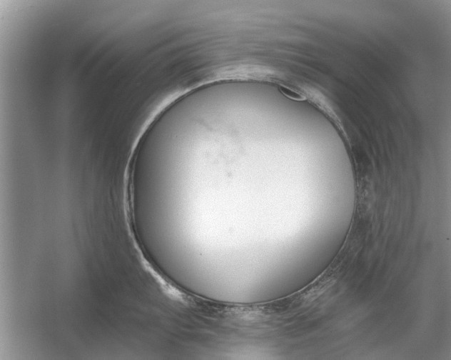 X0000056361103200509161821