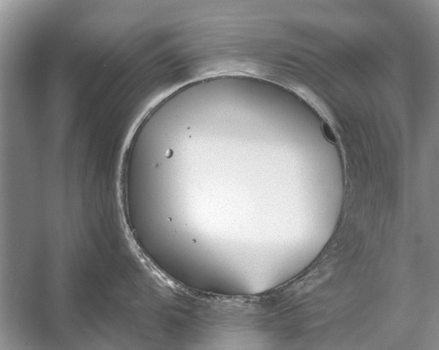 X0000056361104200509161821