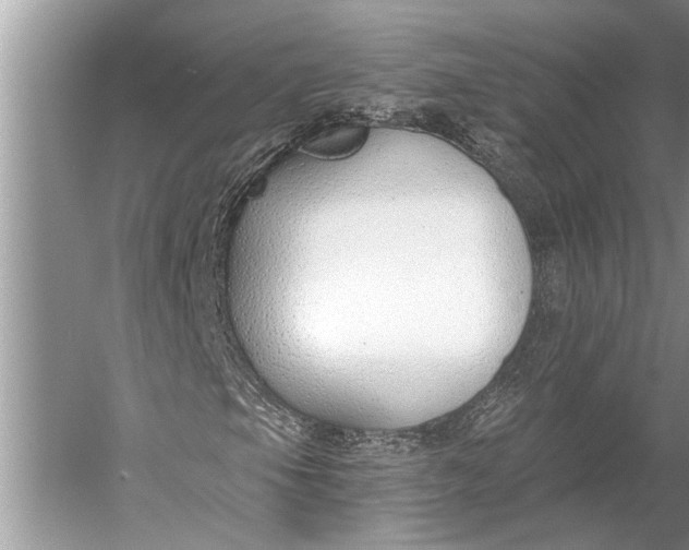 X0000056361105200509161821