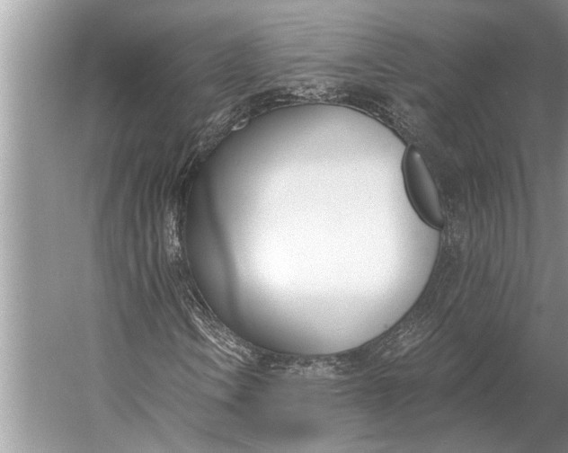 X0000056361106200509161821