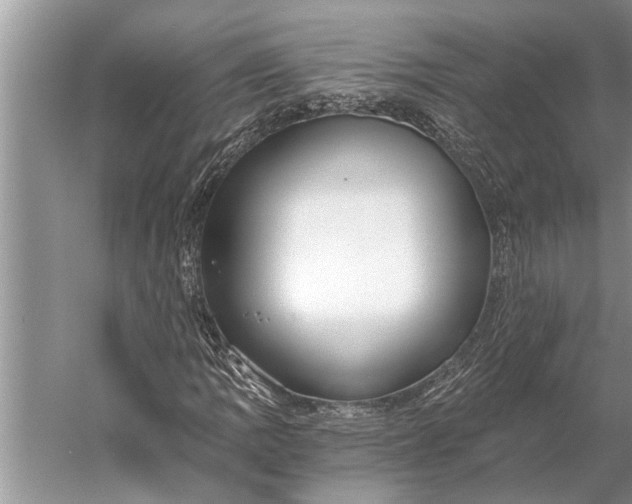 X0000056361109200509161821