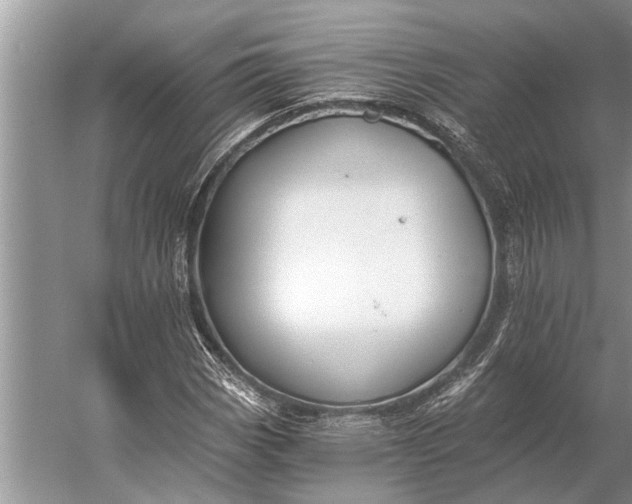 X0000056361113200509161821