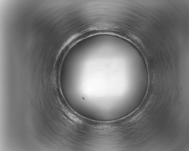 X0000056361114200509161821