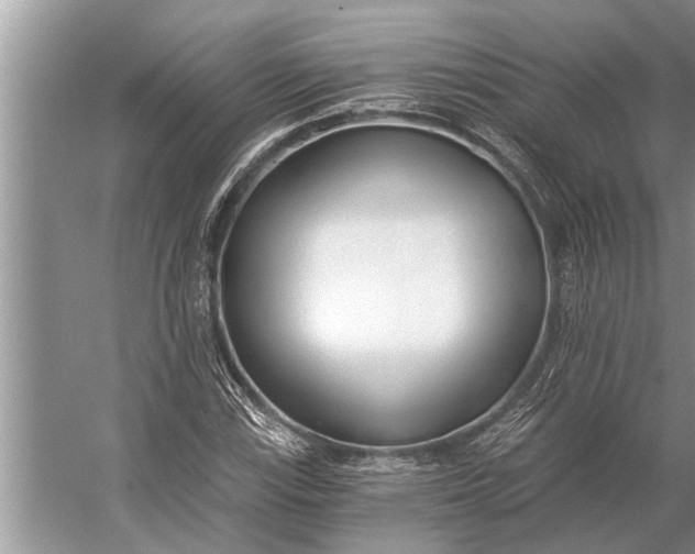 X0000056361115200509161821