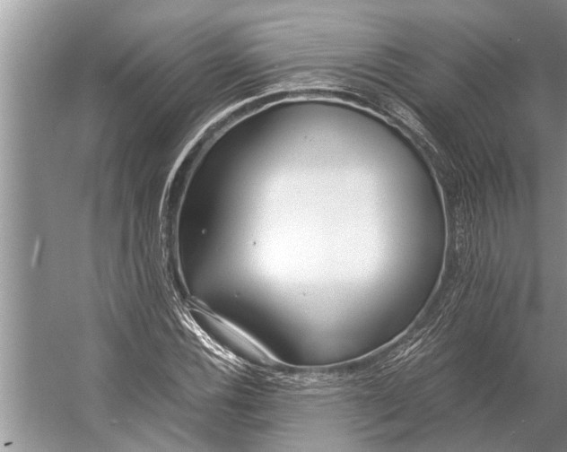 X0000056361116200509161821