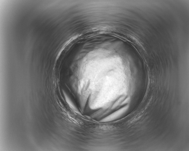 X0000056361117200509161821