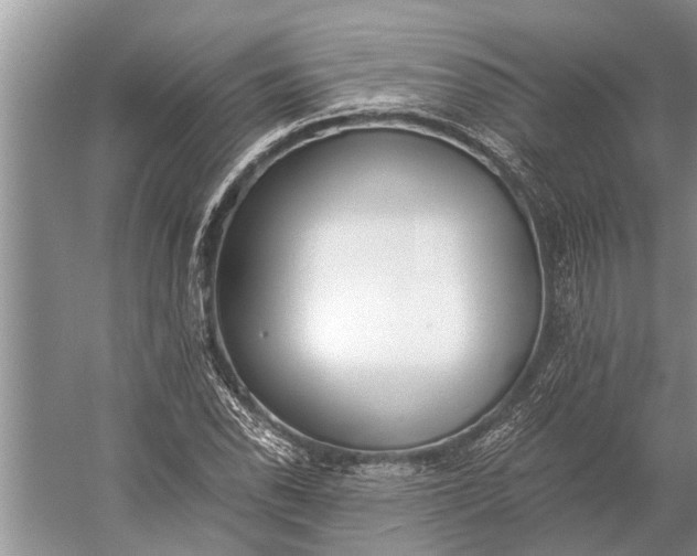 X0000056361118200509161821