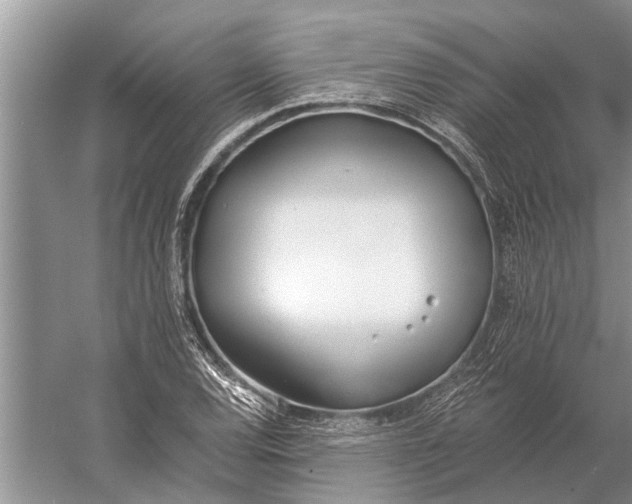 X0000056361120200509161821