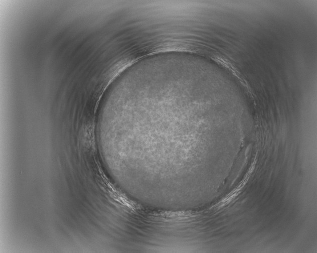 X0000056361121200509161821