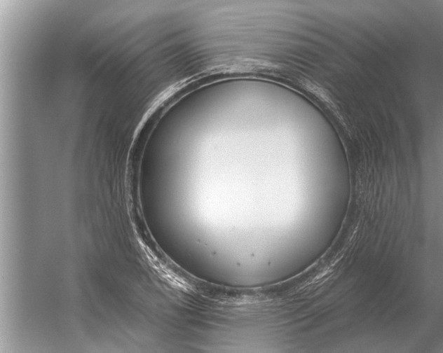 X0000056361122200509161821