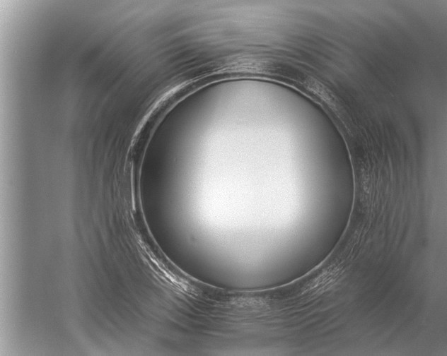 X0000056361123200509161821