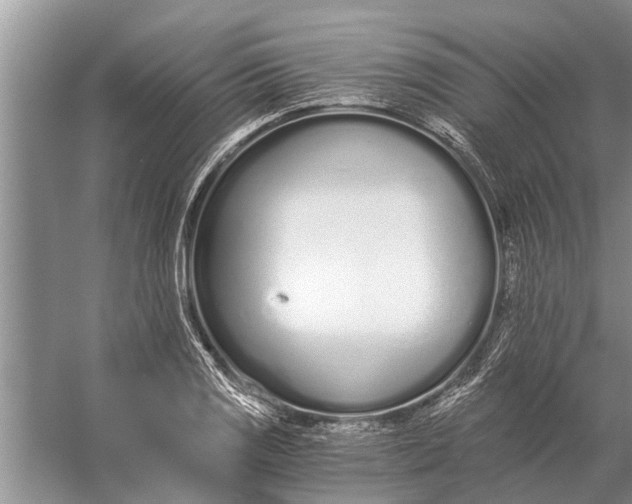 X0000056361125200509161821