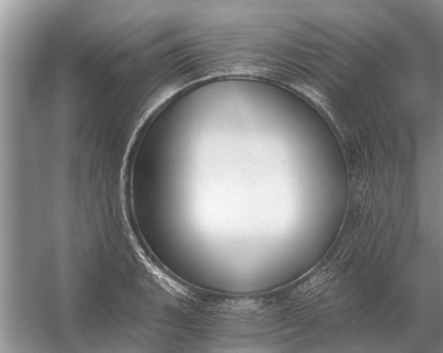 X0000056361135200509161821