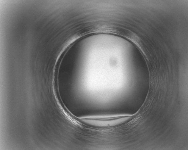 X0000056361139200509161821