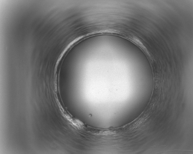 X0000056361140200509161821