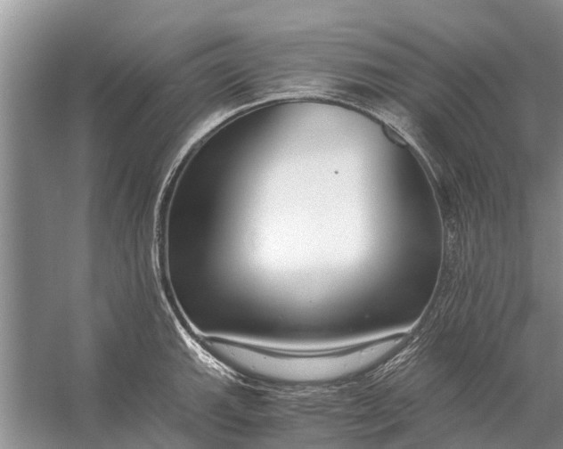 X0000056361143200509161821