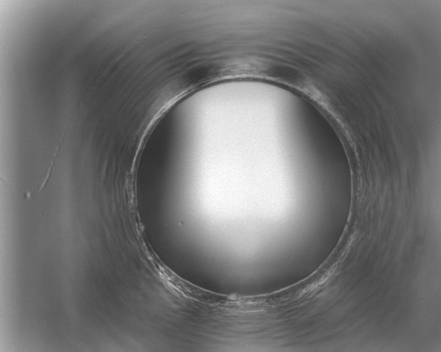 X0000056361145200509161821